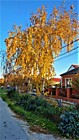Осенние мотивы от Василия